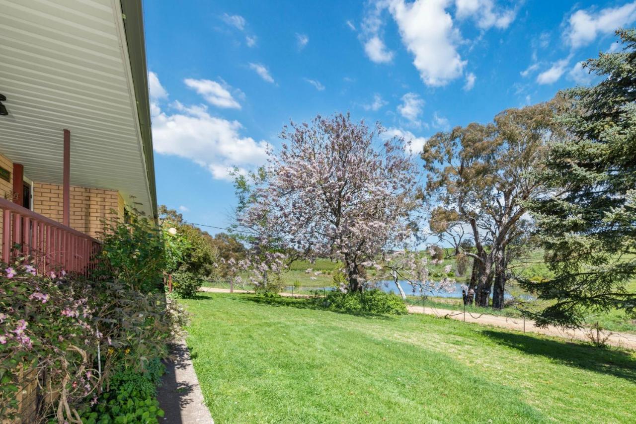 Villa Bendalong - Rural Retreat, Short Drive To Cbd Orange Esterno foto